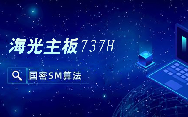國產(chǎn)海光主板737H自主可控 內置SM2/3/4國密算法